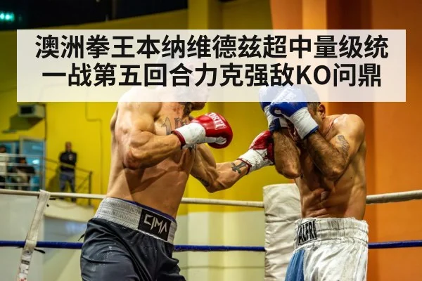 澳洲拳王本纳维德兹超中量级统一战第五回合力克强敌KO问鼎